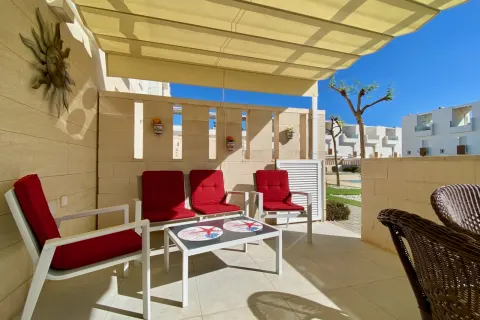 Kotedžas Torrevieja, miniatiūra 12