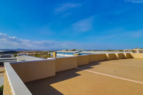 Butas Torrevieja, miniatiūra 13