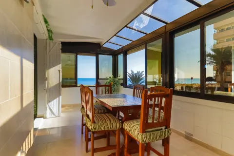 Butas Torrevieja, miniatiūra 2