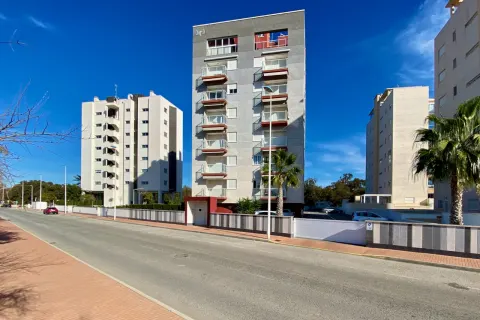Butas Guardamar del Segura, miniatiūra 7
