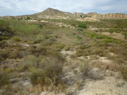 Dom wiejski Orihuela – Desamparados-Hurchillo-Torremendo, miniatura 14