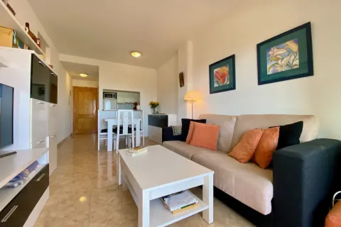 Butas Torrevieja, miniatiūra 2