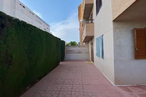 Butas Torrevieja, miniatiūra 7