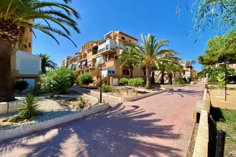 Butas Torrevieja, miniatiūra 6