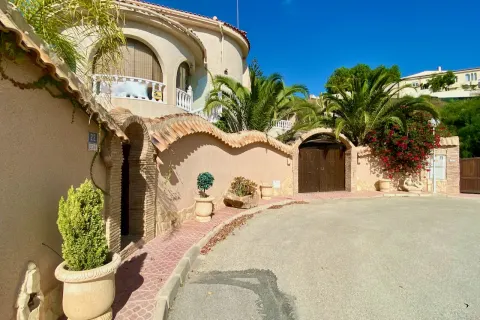Villa Ciudad Quesada, sīktēls 8