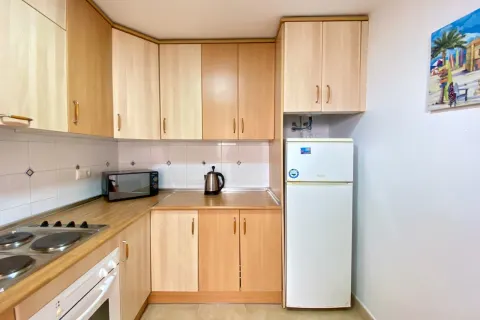 Butas Torrevieja, miniatiūra 11