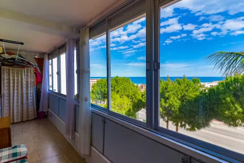 Butas Torrevieja, miniatiūra 2