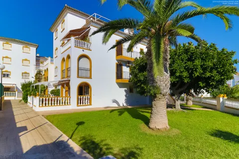 Butas Torrevieja, miniatiūra 11
