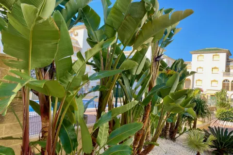 Butas Torrevieja, miniatiūra 8