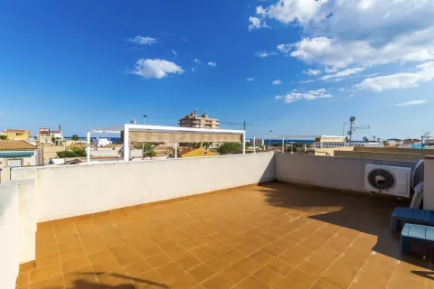 Villa Torrevieja, sīktēls 10