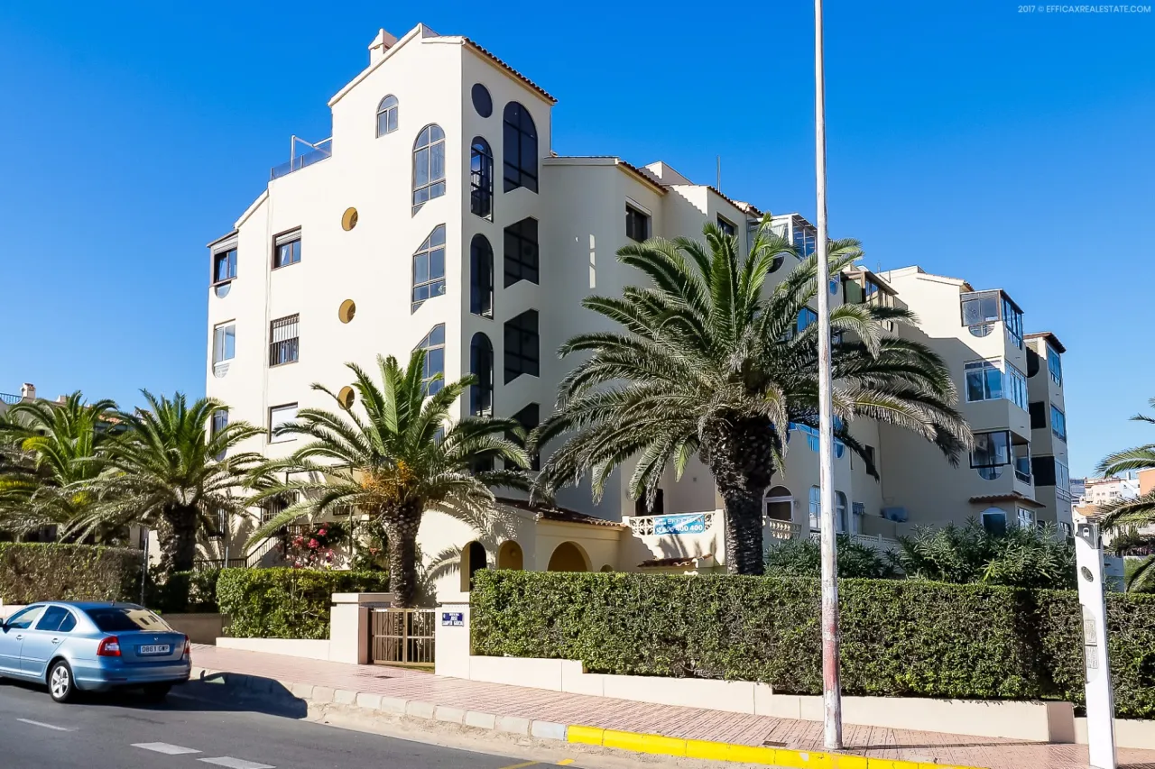 Butas / bungalas — Torrevieja – Torreblanca, nuotrauka 1 iš 15