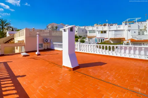 Kotedžas Torrevieja, miniatiūra 14