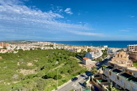 Butas Torrevieja, miniatiūra 2