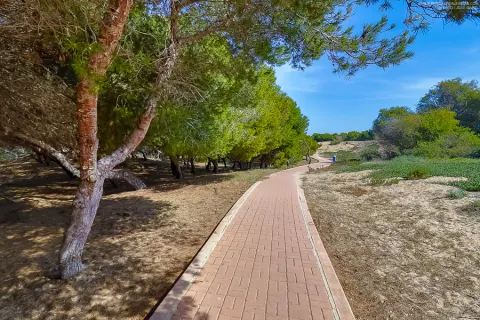Butas Torrevieja, miniatiūra 5