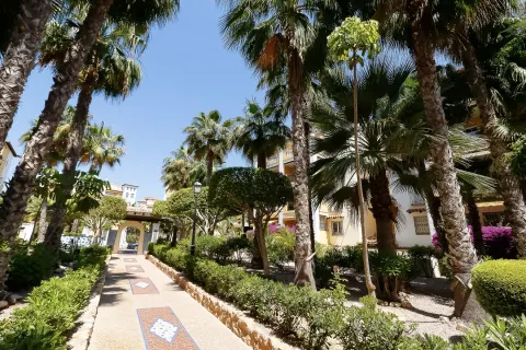 Butas Torrevieja, miniatiūra 14