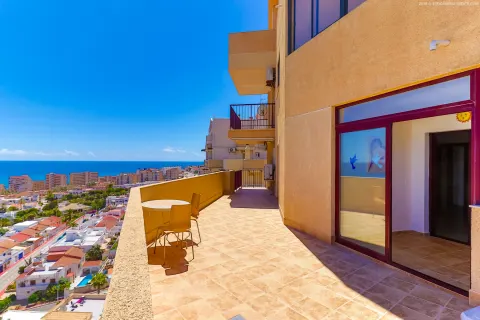 Butas Torrevieja, miniatiūra 10