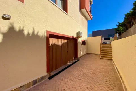 Vila Torrevieja, miniatiūra 15