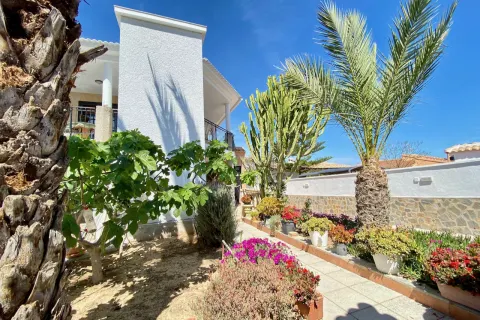 Villa Torrevieja, sīktēls 14