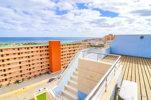 Butas Torrevieja, miniatiūra 11