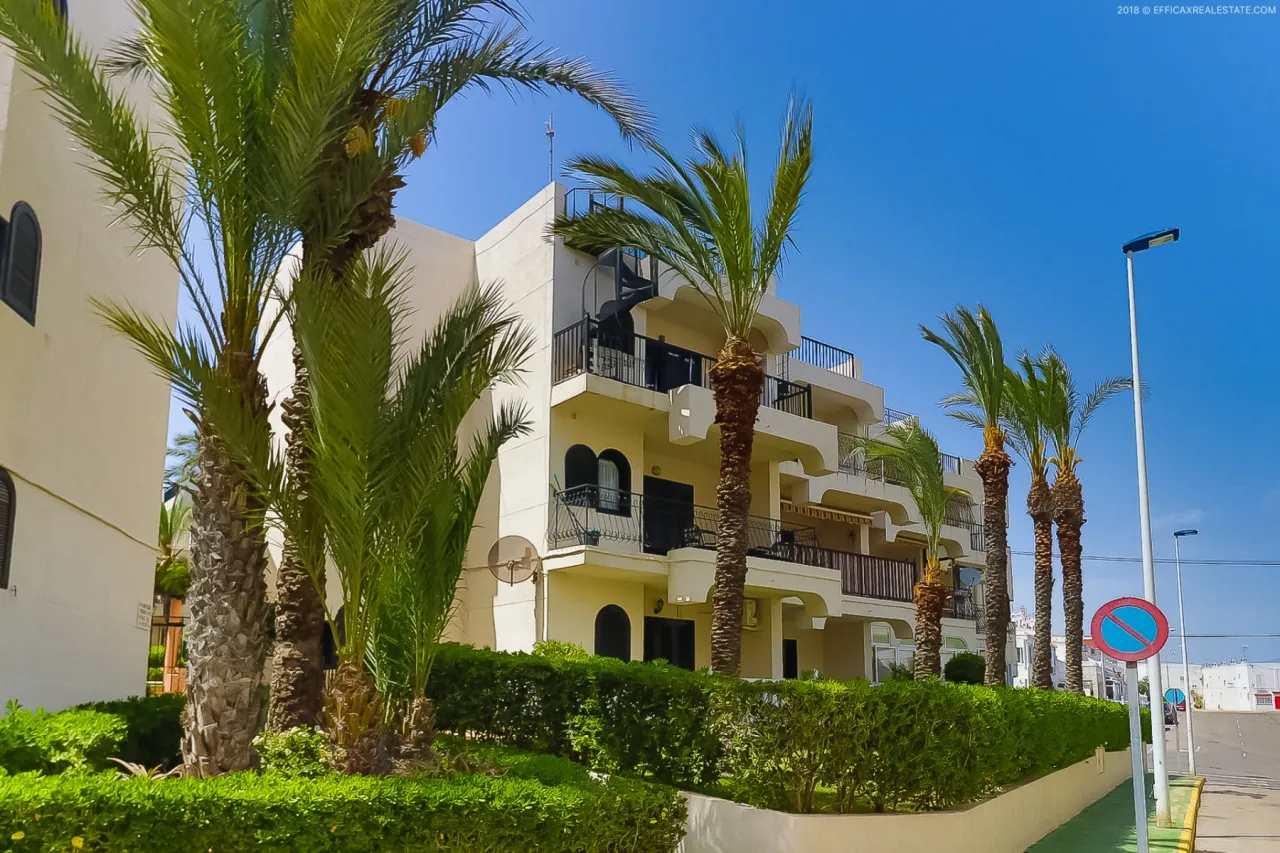 Butas / bungalas — Torrevieja – Torre del Moro, nuotrauka 1 iš 15