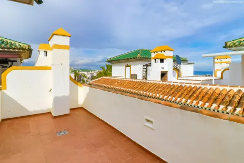 Butas Torrevieja, miniatiūra 15