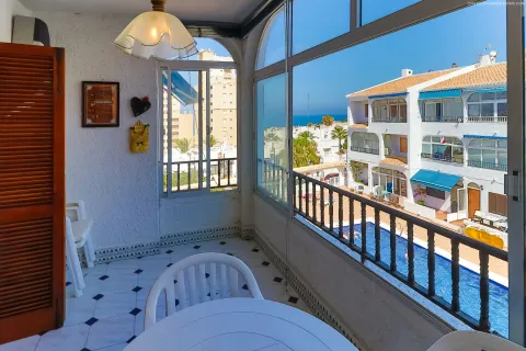 Butas Torrevieja, miniatiūra 8