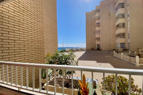 Butas Torrevieja, miniatiūra 9