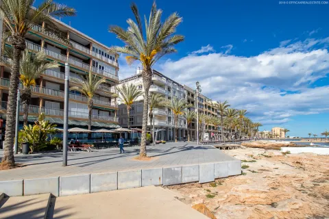 Butas Torrevieja, miniatiūra 14