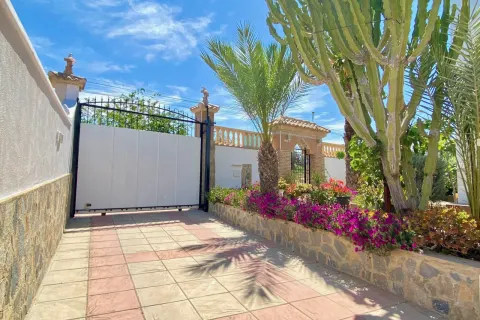 Villa Torrevieja, sīktēls 9