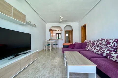 Butas Torrevieja, miniatiūra 2