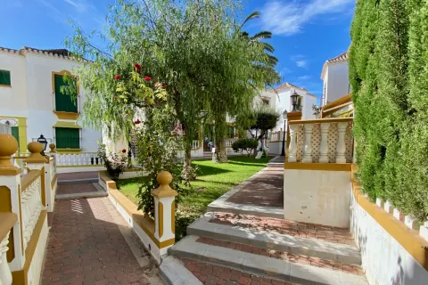 Butas Torrevieja, miniatiūra 7