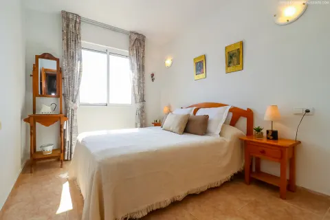 Butas Torrevieja, miniatiūra 5