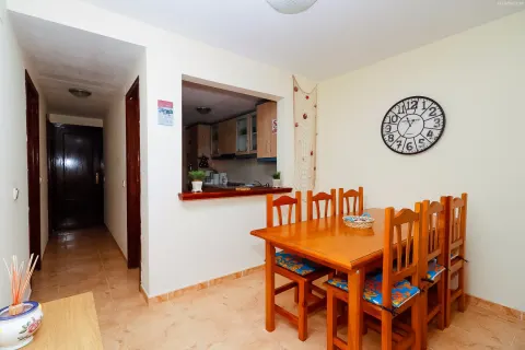Butas Torrevieja, miniatiūra 10
