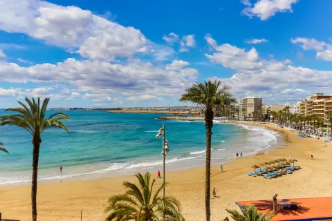 Butas Torrevieja, miniatiūra 2