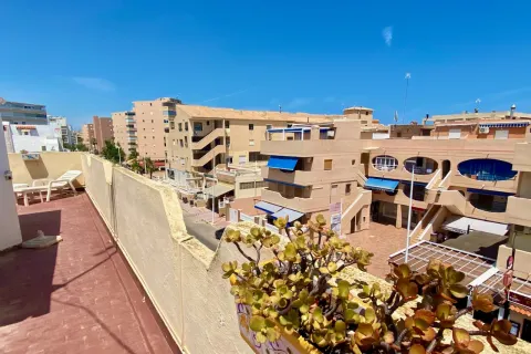 Korter / bangalo — Torrevieja – La Mata, Hispaania