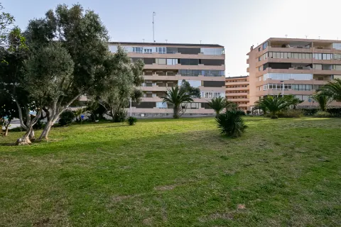 Butas Torrevieja, miniatiūra 15