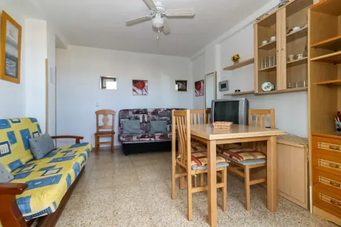 Butas Torrevieja, miniatiūra 12