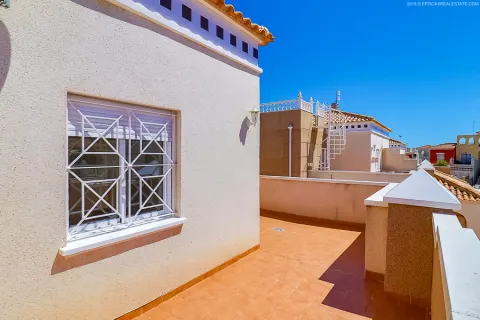Kotedžas Torrevieja, miniatiūra 5