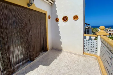 Butas Torrevieja, miniatiūra 8