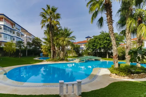 Dzīvoklis Torrevieja, sīktēls 15