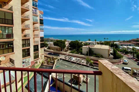 Butas Torrevieja, miniatiūra 8