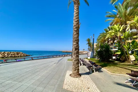 Butas Torrevieja, miniatiūra 8