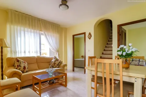 Butas Torrevieja, miniatiūra 8