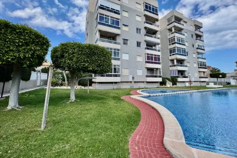 Butas Torrevieja, miniatiūra 2