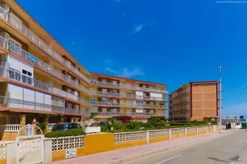 Butas Torrevieja, miniatiūra 2