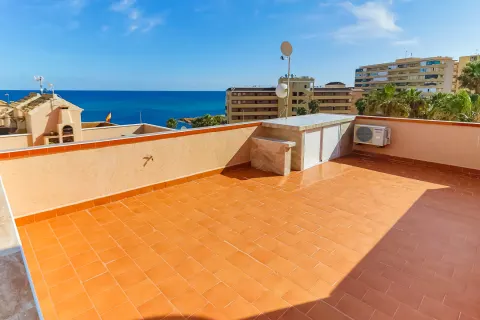 Butas Torrevieja, miniatiūra 2