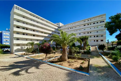 Butas Torrevieja, miniatiūra 3