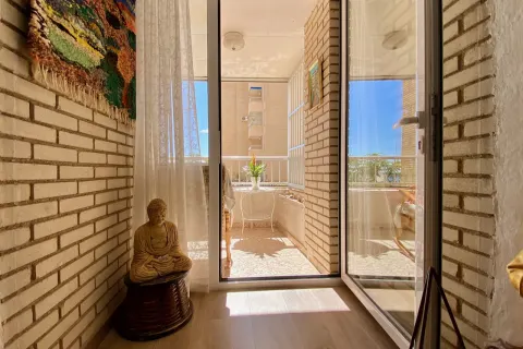 Butas Torrevieja, miniatiūra 10