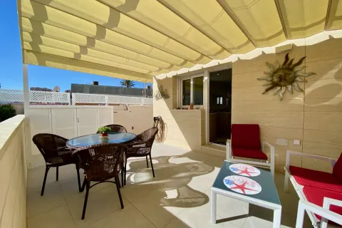 Kotedžas Torrevieja, miniatiūra 10