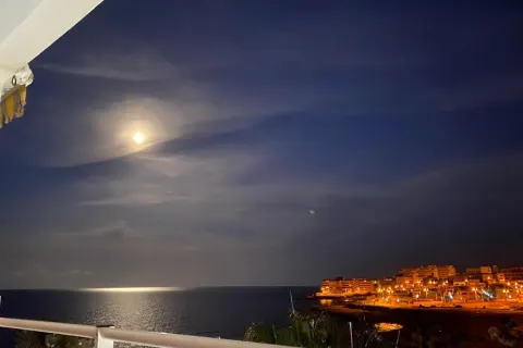 Dzīvoklis Torrevieja, sīktēls 14